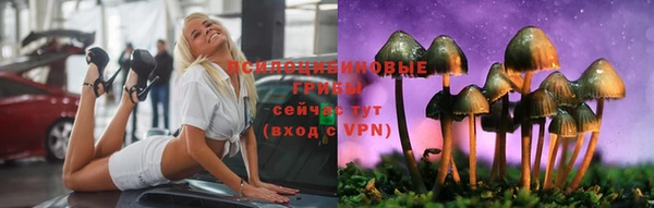 спиды Алексеевка