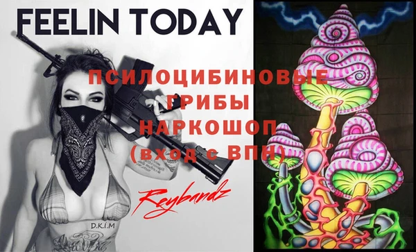 ПСИЛОЦИБИНОВЫЕ ГРИБЫ Алексин