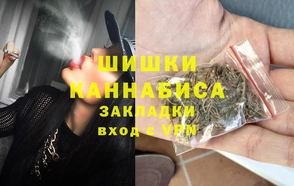 шишки Аркадак