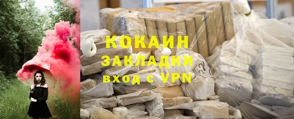 шишки Аркадак