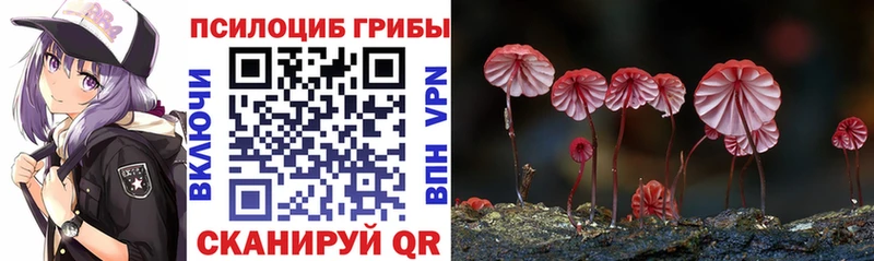 Псилоцибиновые грибы ЛСД  Купить  Ишимбай 